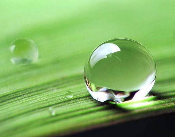 涂料潤濕劑<a href='http://m.92bbaa.com/product/product-0001,0011,0020.shtml' class='keys' title='點擊查看關(guān)于分散劑的相關(guān)信息' target='_blank'>分散劑</a>