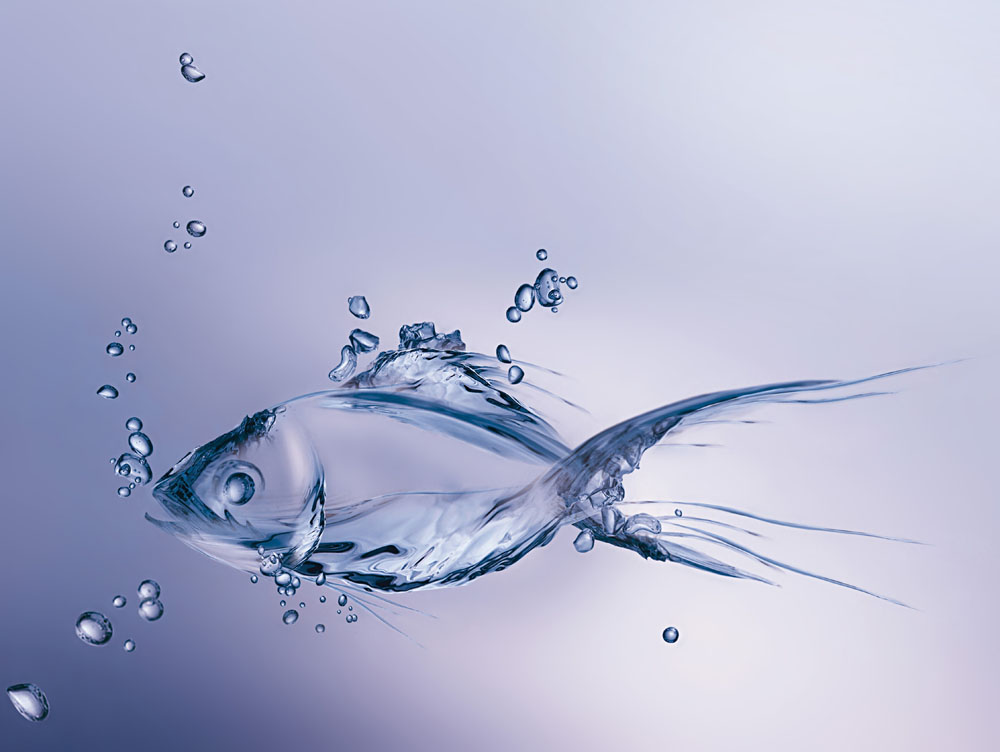 潤濕<a href='http://m.92bbaa.com/product/product-0001,0011,0020.shtml' class='keys' title='點擊查看關于分散劑的相關信息' target='_blank'>分散劑</a>