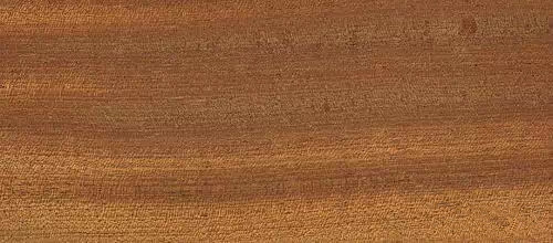 木器漆基材潤濕劑,木器漆潤濕劑,水性潤濕劑,底材潤濕劑,潤濕劑廠家,迪高潤濕劑,<a href='http://m.92bbaa.com/product/product-0001,0011,0018.shtml' class='keys' title='點(diǎn)擊查看關(guān)于潤濕劑的相關(guān)信息' target='_blank'>潤濕劑</a>批發(fā)