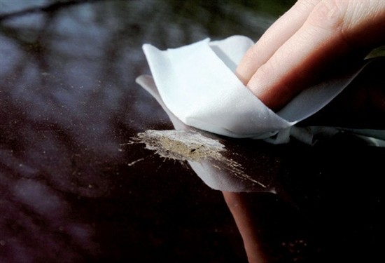 汽車改色漆、汽車護(hù)理