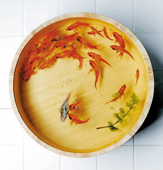 <a href='/product/product-0001,0013.shtml' class='keys' title='點擊查看關(guān)于水性聚氨酯的相關(guān)信息' target='_blank'>水性聚氨酯</a>、油性聚氨酯